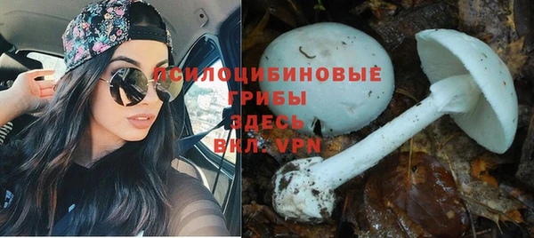 a pvp Абинск
