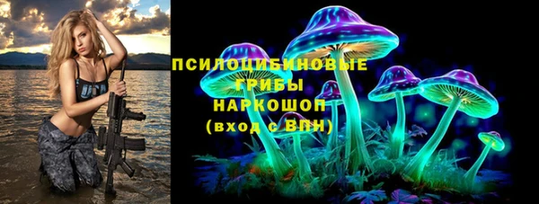 индика Абдулино