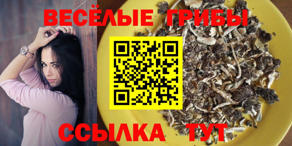 Псилоцибиновые грибы MAGIC MUSHROOMS Тольятти