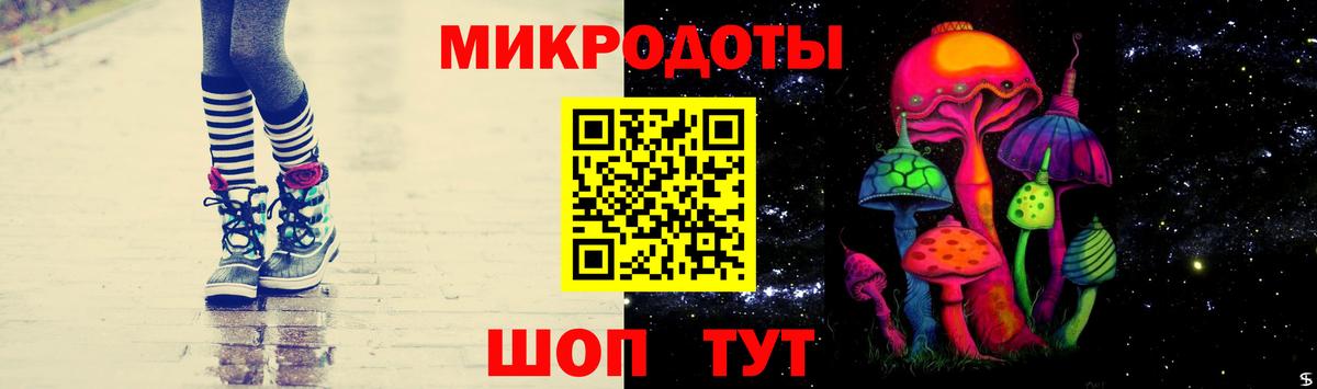 Псилоцибиновые грибы Psilocybe  Псилоцибиновые грибы мицелий  Тольятти  Вход с VPN 